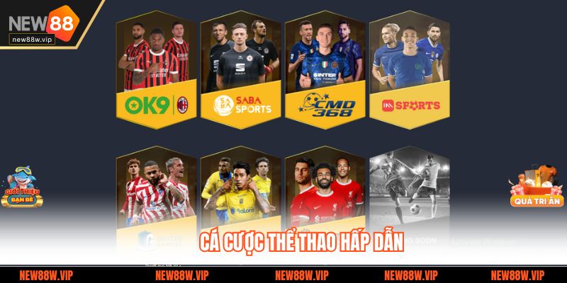 Cá cược thể thao hấp dẫn