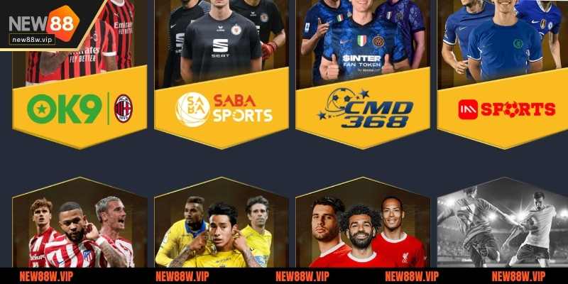 Cách đọc tỷ lệ kèo bóng tại New88
