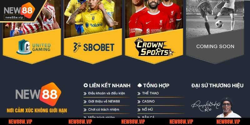 Cách tham gia cá cược thể thao tại New88