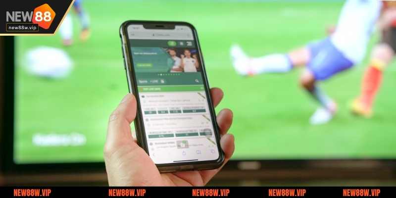 Giới thiệu về kèo cá cược trực tuyến tại New88