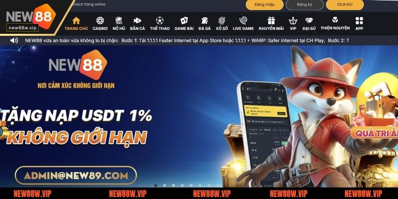 New88 chính thức ra mắt thị trường cá cược trực tuyến từ năm 2015