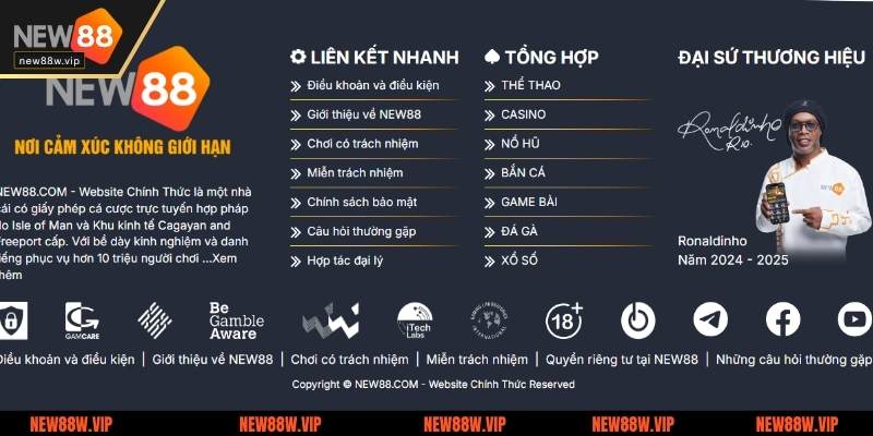 Những lưu ý khi rút tiền New88